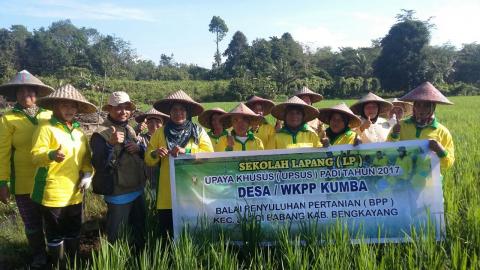 Sekilas Tentang Profesi Penyuluh Pertanian Dinas Pertanian Tanaman Pangan Dan Hortikultura Provinsi Kalimantan Barat