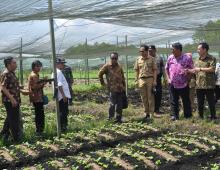 komisi IV DPR RI ke Lahan Pertanian Sayur Pontianak Utara