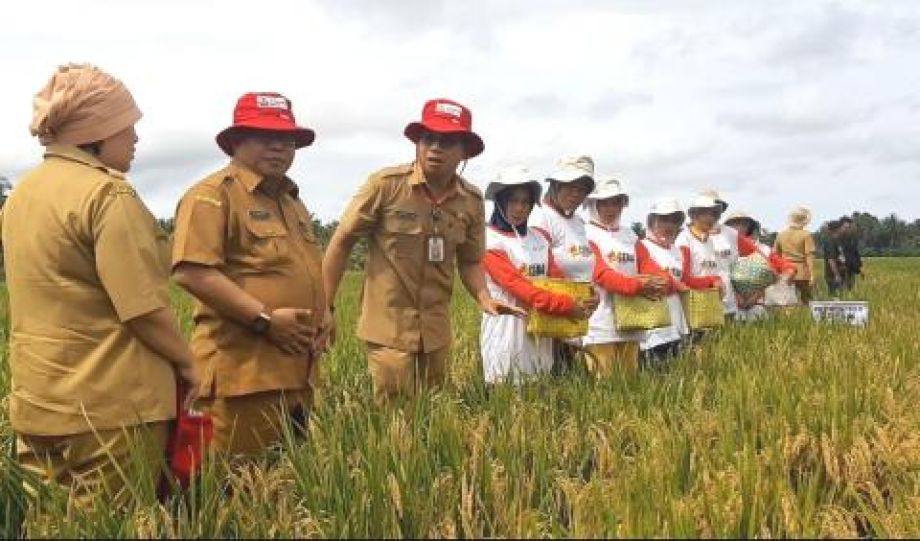 Dinas Pertanian Kubu Raya sasar kalangan milenial untuk bangga bertani