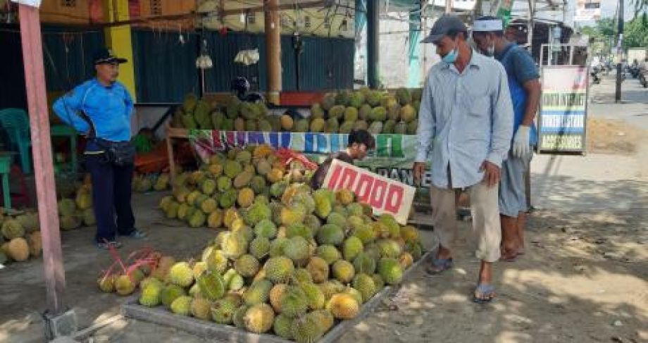 Kalbar ekspor durian beku 53 ton setiap dua bulan sekali