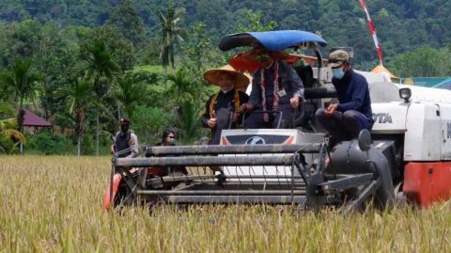 Produksi padi di Provinsi Kalbar hingga April 2022 sudah capai 810.416 ton GKG