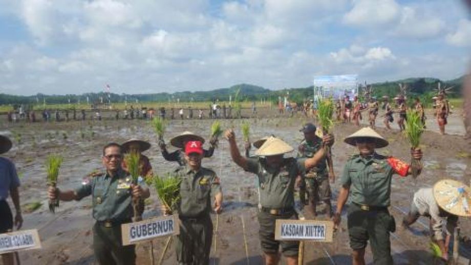 Kalbar mendapat alokasi program cetak sawah seluas 16.900 hektar