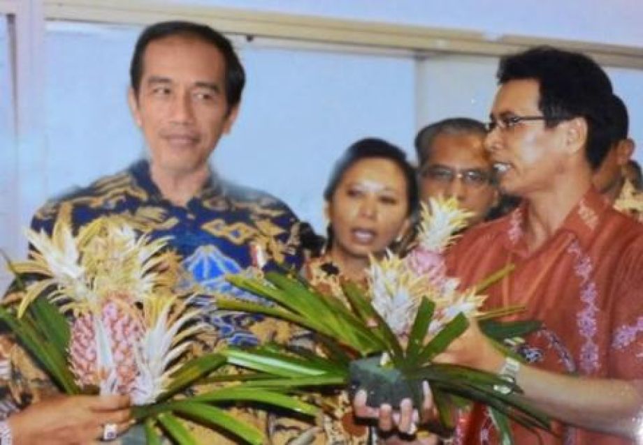 Nanas Merah Asal Kalbar Diapresiasi Bapak Presiden Jokowi