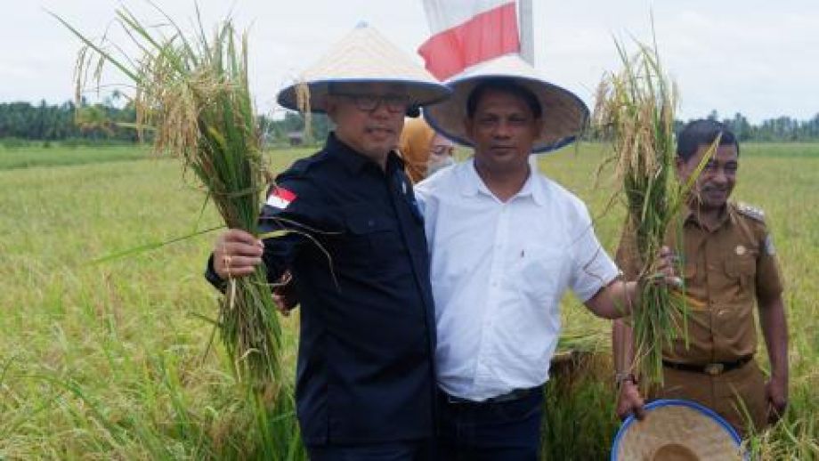 Direktur PPHTP Kementan RI panen raya padi di Kubu Raya