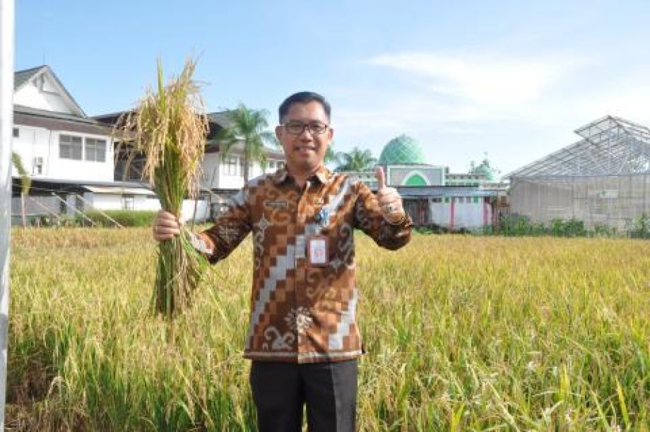 COVID-19 ganggu aktivitas pertanian dan bisa turunkan pendapatan petani