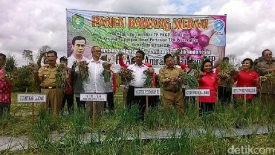 Panen 16 Ton Bawang Merah, Mentan Puji Lihainya Ibu-ibu di Kalbar