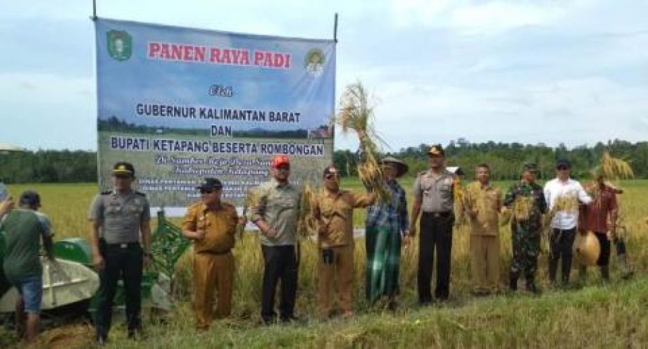 KADISTAN TPH KALBAR MINTA PETANI SANDAI TERUS TINGKATKAN PRODUKTIVITAS PADI