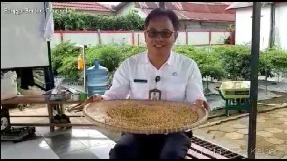 PETANI JANGAN RAGU TANAM KEDELAI DI KALBAR