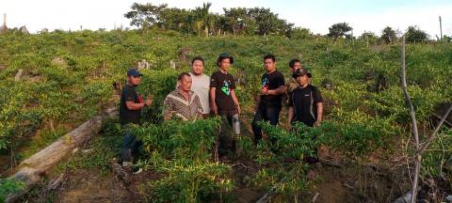 Upaya Petani Muda Berkemajuan untuk memajukan petani di Kabupaten Sambas