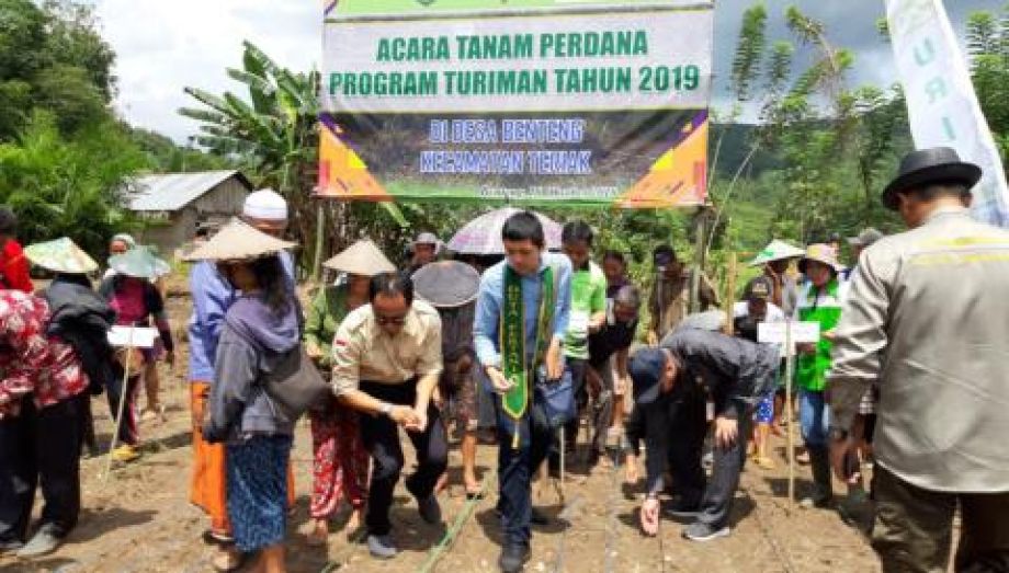 Kadistan lakukan tanam perdana Program Turiman di Desa Benteng, Bengkayang