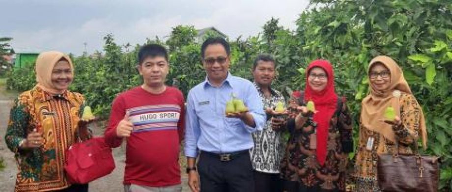 KADISTAN TPH KALBAR TERKESAN JAMBU AIR, GREEN HONEY SUPER MANIS