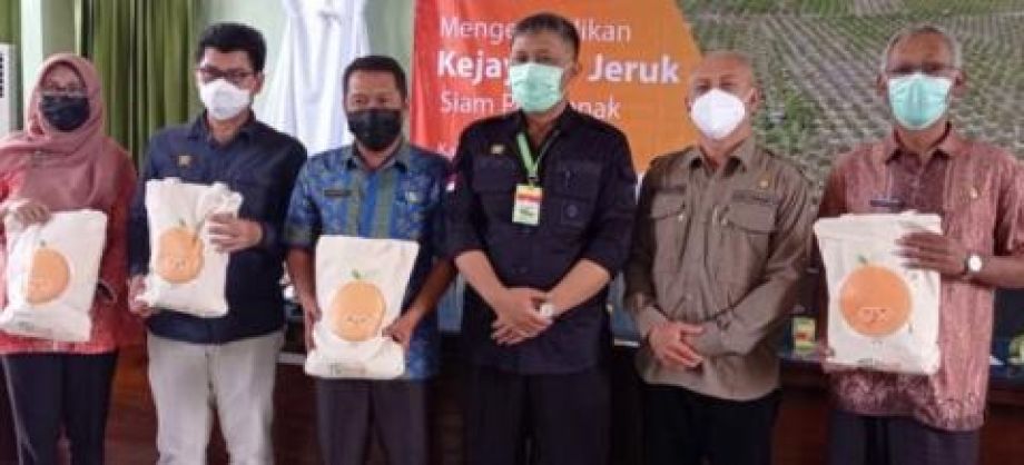 Kalbar inginkan kembalikan kejayaan jeruk siam Sambas