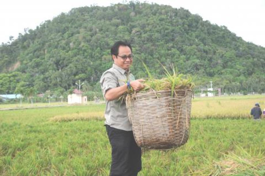 DISTAN TPH KALBAR TERGETKAN KEMANDIRIAN BENIH PADI UNGGUL