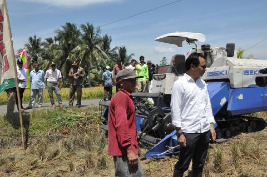 Kinerja Pembangunan Pertanian Baik, Daerah Berpeluang Besar Dapat Reward dan Punishment dari Pemerintah