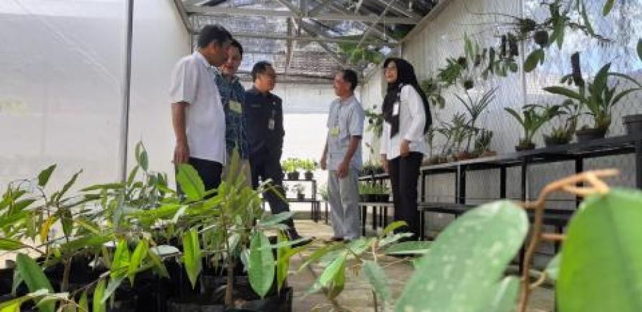 UPAYA PEMERINTAH KEMBANGKAN DURIAN SERUMBUT