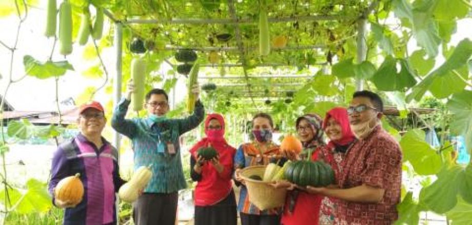 Kebun percontohan Distan TPH Kalbar sarana edukasi bagi petani milenial