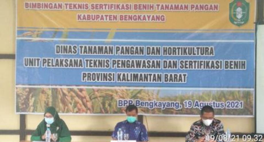 Bimtek sertifikasi benih tanaman pangan upaya ciptakan penangkar benih berkualitas