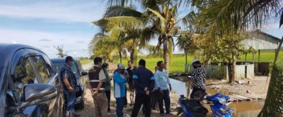 Kalbar kembangkan tanam jagung di lahan kelapa dalam