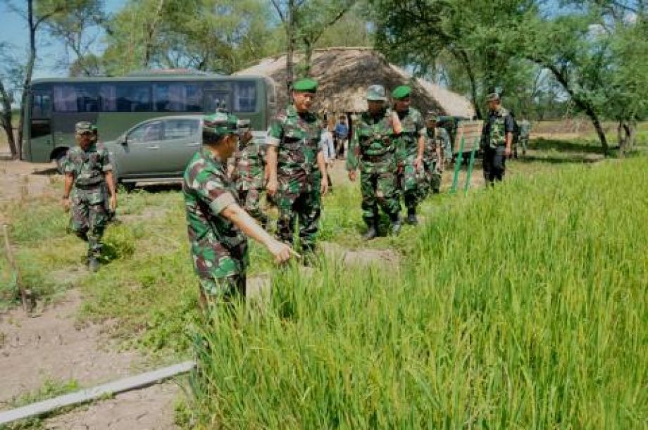 Sambas Tahap Finishing Cetak Sawah