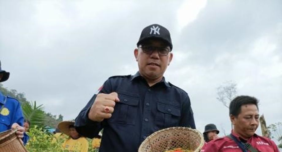 Kadis TPH Kalbar Panen Raya Cabai di Gapoktan Benua Raya Dusun Repun Desa Cempedak, Tayan Hilir, Sanggau