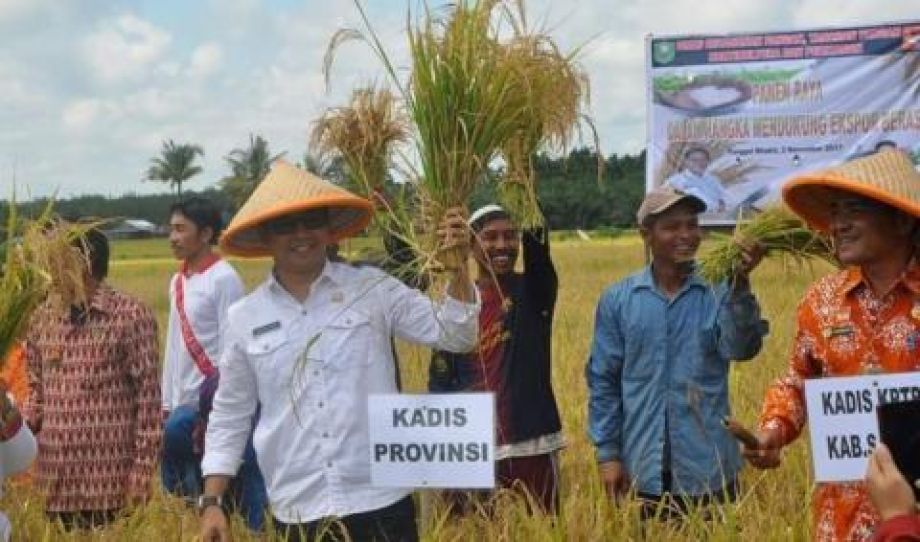 DINAS HANGPANG HORTIKAN SANGGAU REKRUT FASILITATOR DESA