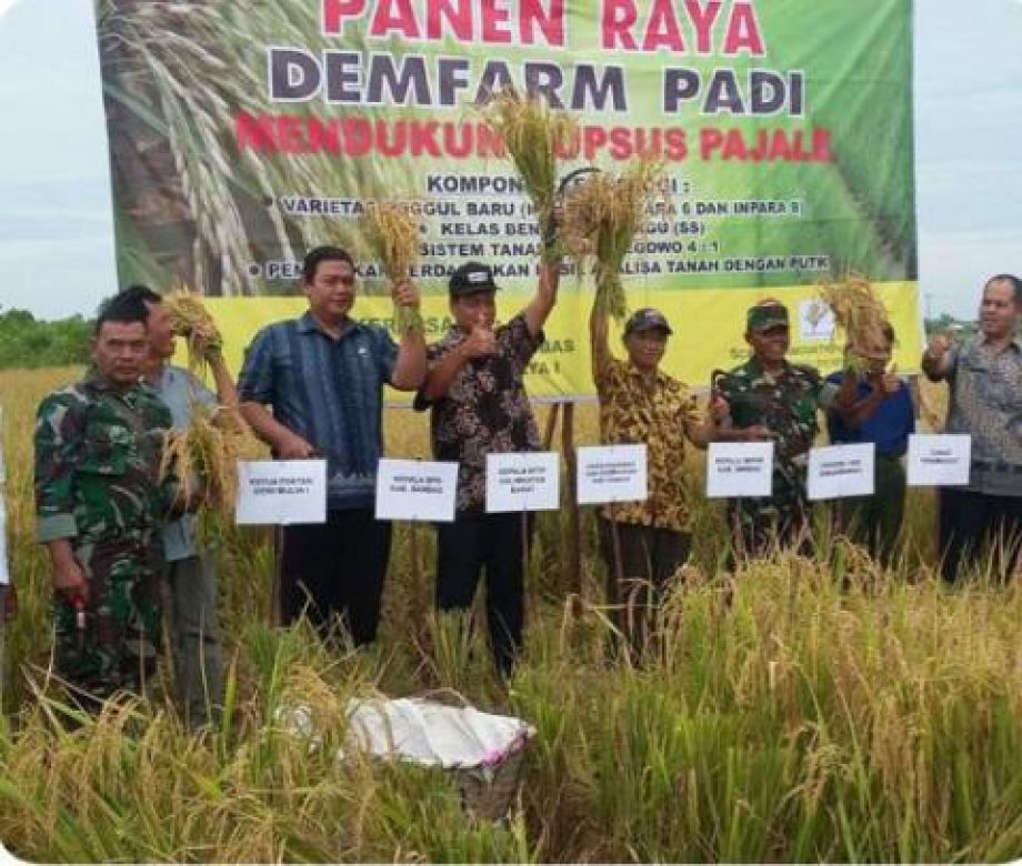 Musanif  Sambas Sepuluh tahun kedepan masih jadi lumbung beras