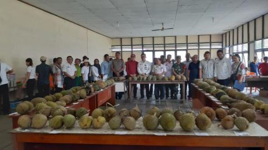 Eksplorasi Durian Unggul Lokal di Batang Tarang diikuti 86 peserta