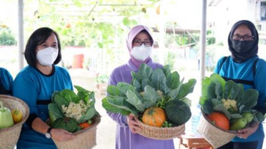 TP PKK Kalbar kunjungi Kebun Ayo Betani DisTPH Kalbar