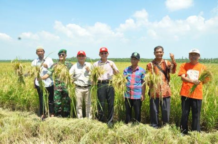 MENDONGKRAK PRODUKSI DAN MENARIK MINAT USAHA TANI PADI MELALUI HAZTON