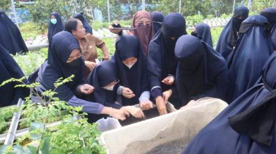 Sekolah Islam As-Sakinah Pontianak Kunjungi Kebun Ayo Bertani DISTPH Kalbar