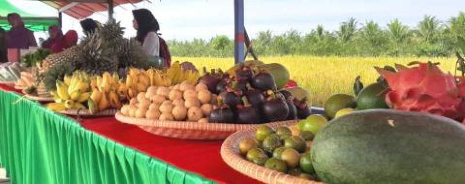 TAHUN INI DISTAN TPH KALBAR KEMBANGKAN 245 HEKTARE BAWANG MERAH