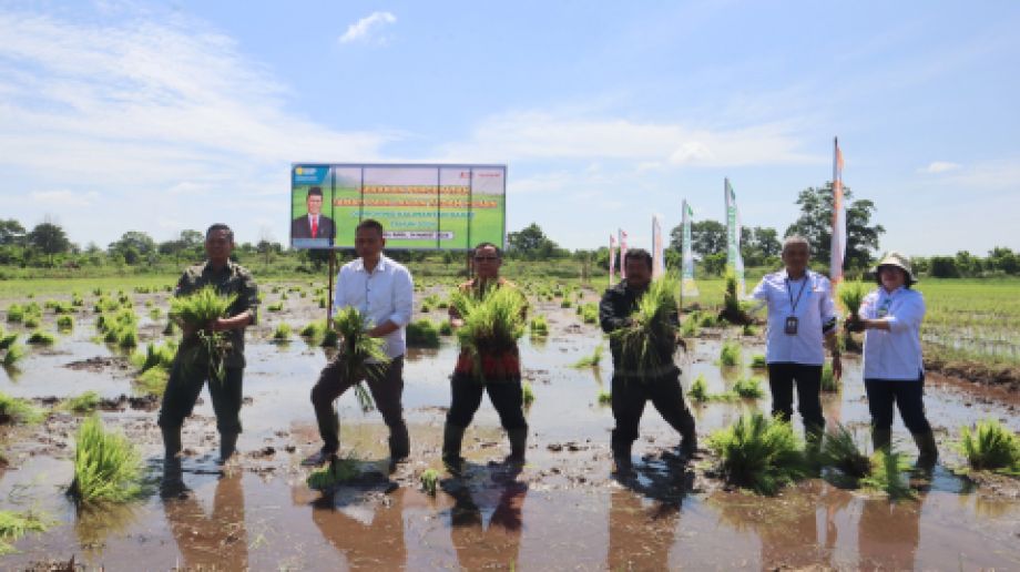 GERAKAN PERCEPATAN TANAM PADI LAHAN TADAH HUJAN DI KALIMANTAN BARAT