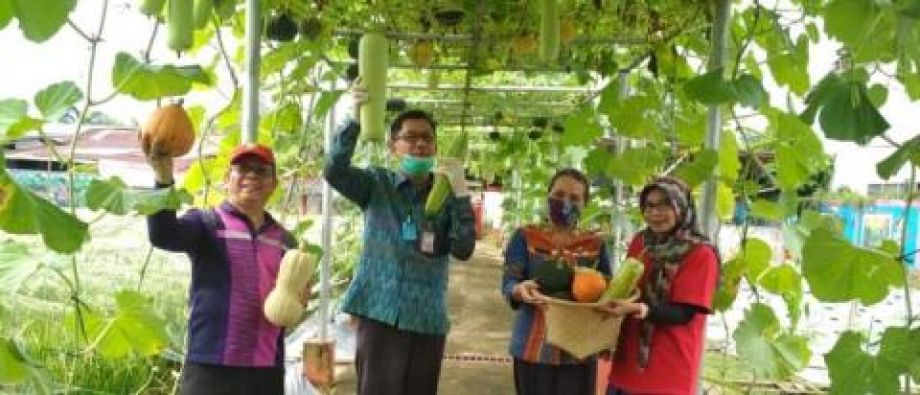 Distan TPH Kalbar Kalbar maksimalkan pengembangan hortikultura di tengah pandemi COVID-19