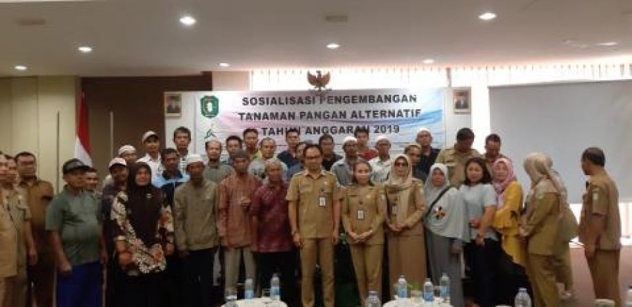 Petani harus menangkap peluang ekonomi tanaman pangan alternatif