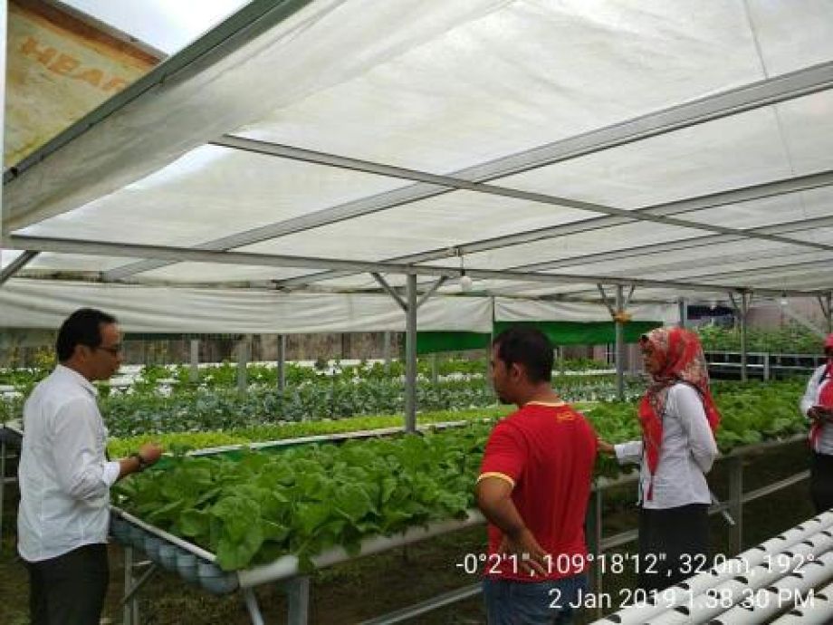 Agribisnis Hydroponic