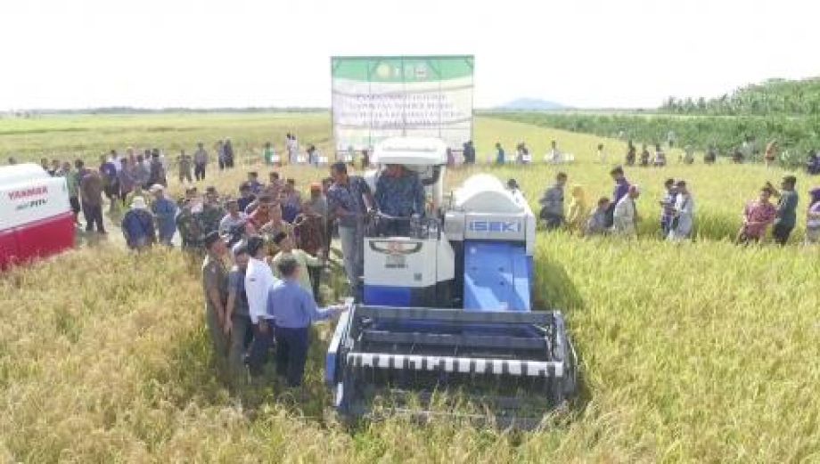 DISTAN KALBAR SEGERA BUAT KAWASAN PERCONTOHAN PERTANIAN MODEREN