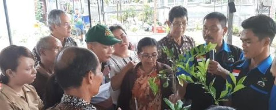 Dewan Adat Dayak Pontianak gelar pelatihan penangkaran benih dan hidroponik