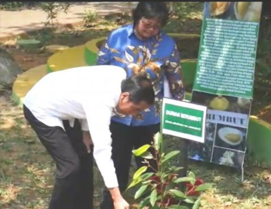 Presiden Joko Widodo tanam Durian Serumbut di Taman Digulis Untan Pontianak