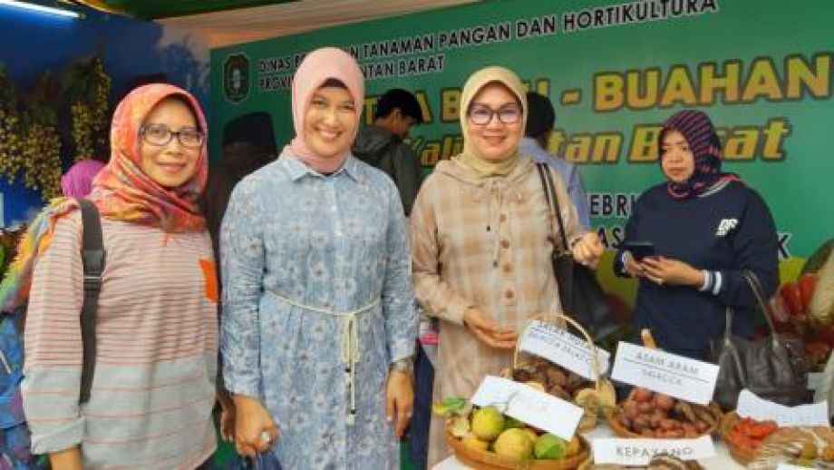 Pengunjung festival terpukau dengan buah lokal yang dipajang Distan TPH Kalbar