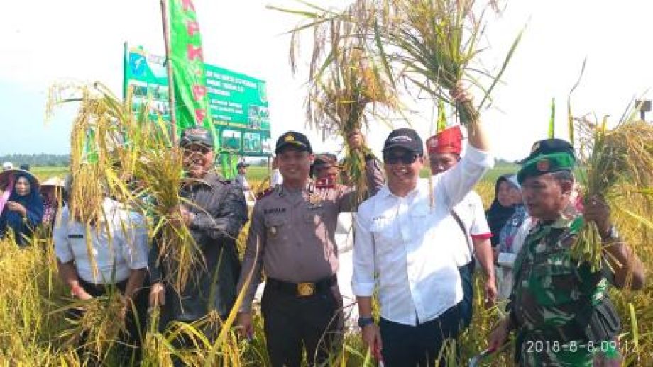 Pemprov Kalbar Dukung Petani Sambas Hasilkan Benih Padi Bermutu