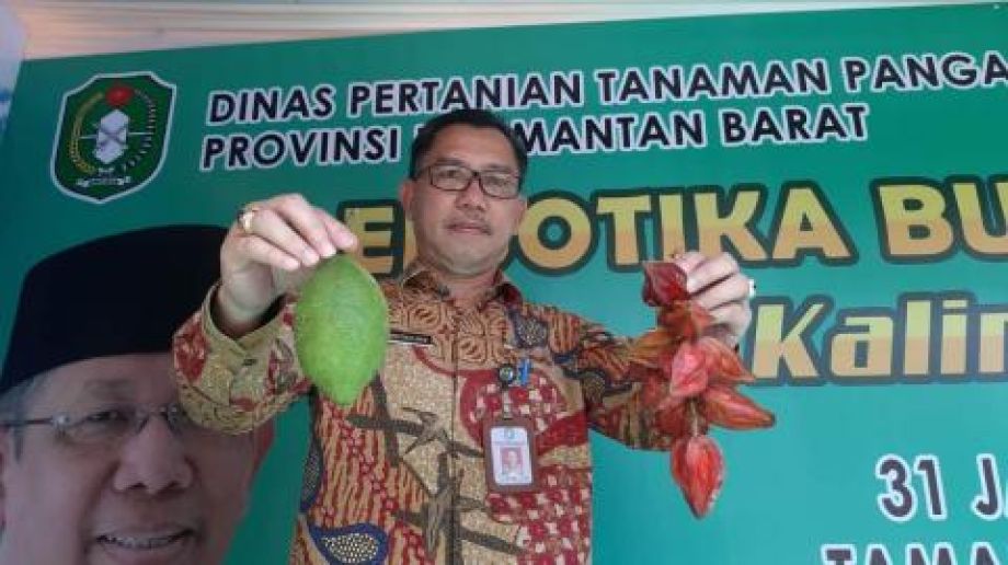 Distan TPH Kalimantan Barat pamerkan eksotik buah lokal