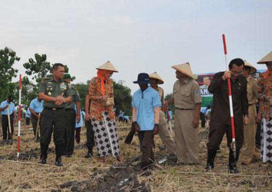 Kementan Gandeng TNI-AD Tingkatkan Produksi Kedelai