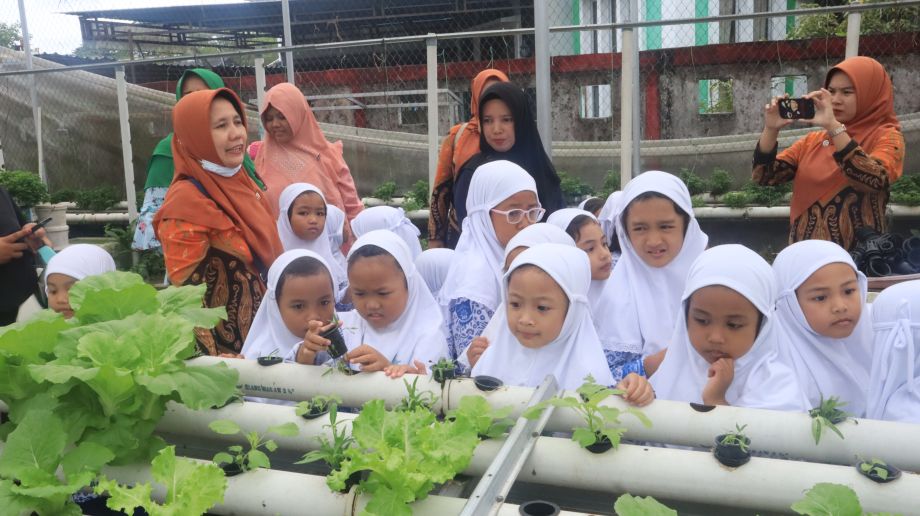 Kunjungan Belajar TK Aisyiyah Bustanul Athfal 1 Pontianak ke Kebun Ayo Bertani: Momen Edukasi Bersama Dinas Tanaman Pangan dan Hortikultura Provinsi Kalimantan Barat