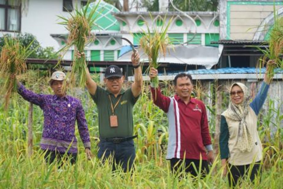 Kepala Dinas TPH Kalbar Laksanakan Panen di Kebun Percontohan Ayo Bertani DISTPH Kalbar