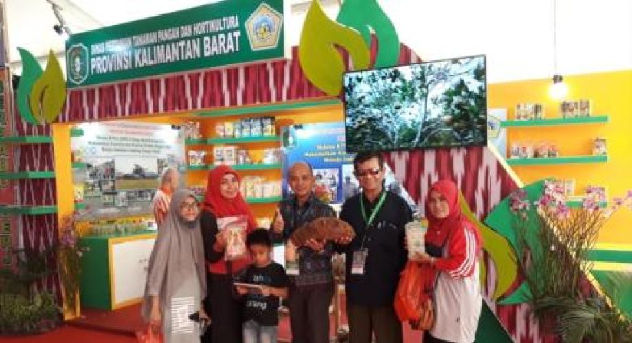 Keladi Singkawang dipamerkan dalam KTNA Expo 2019 di Pekan Baru