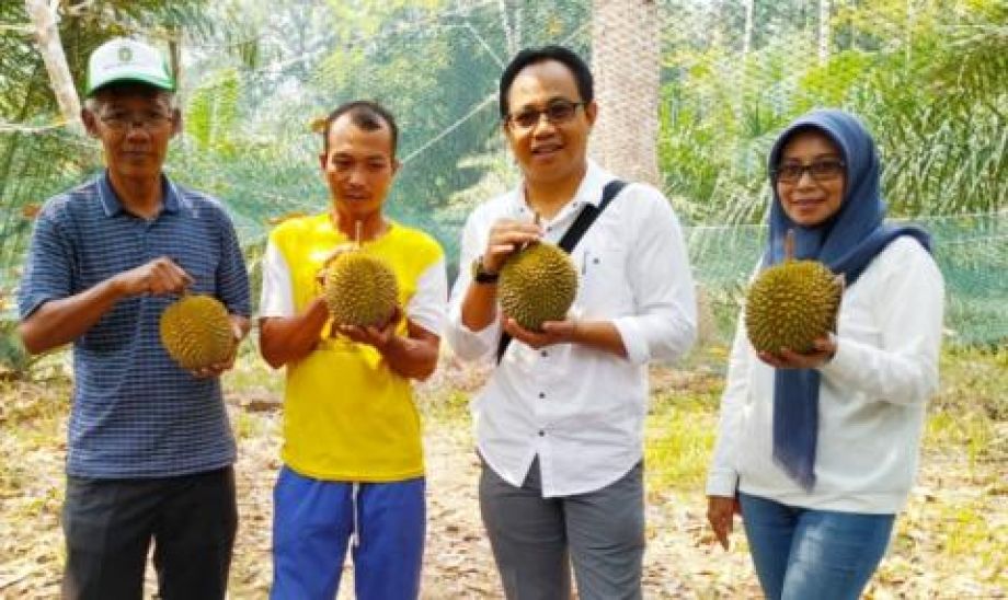 Durian Kunyit pemenag kontes diobservasi Distan Kalbar