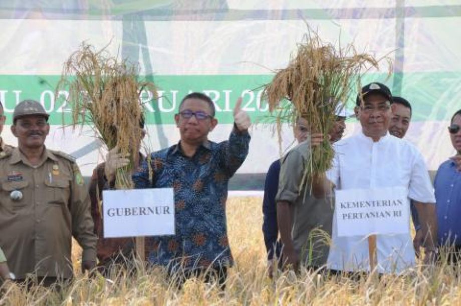 GUBERNUR KALBAR MINTA PETANI SAMBAS HASILKAN BERAS HITAM DAN MERAH