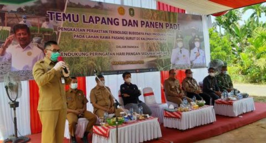 Momentum HPS 2021, Dinas TPH Kalbar komitmen tingkatkan provitas padi