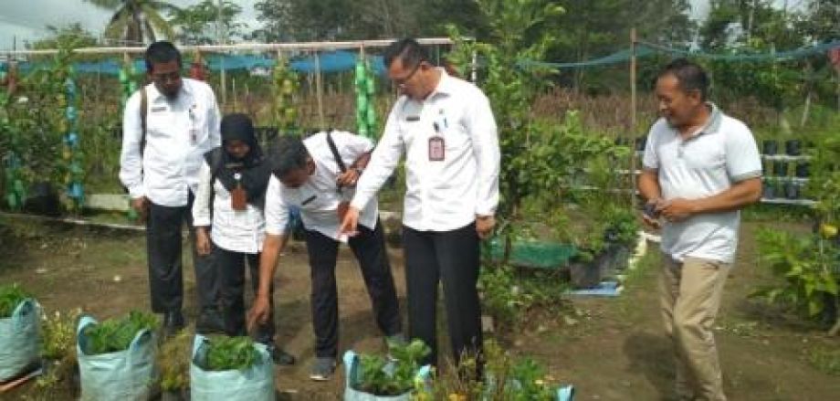 Jelang Ramadhan, Ketersediaan Komoditas Hortikultura di Kalbar Aman