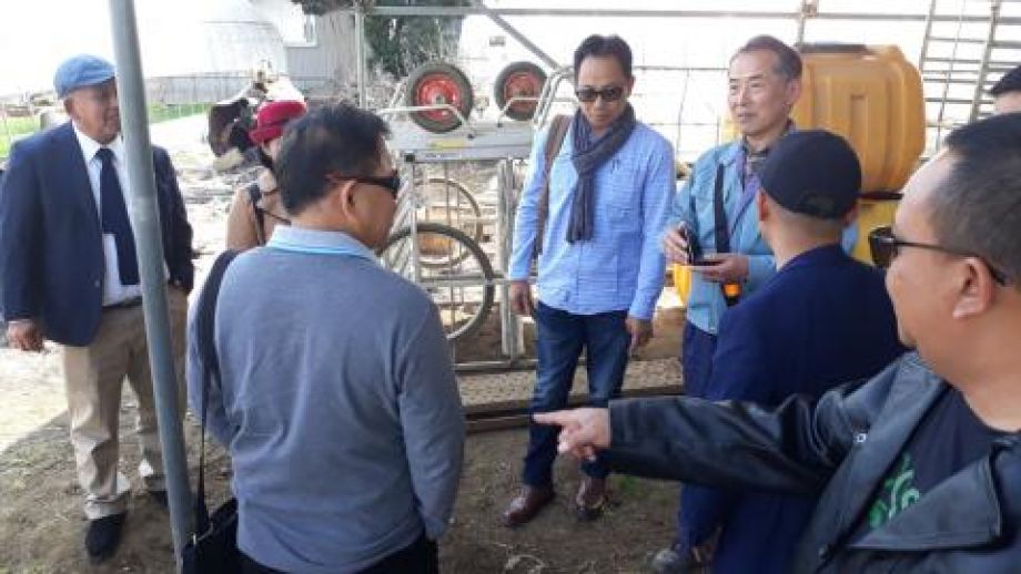 PELUANG MAGANG PERTANIAN DI JEPANG